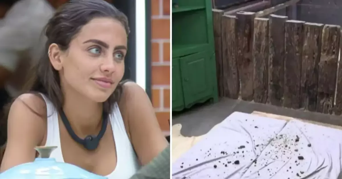 A Fazenda: Catherine joga fezes de égua nos colchões e acirra rivalidade