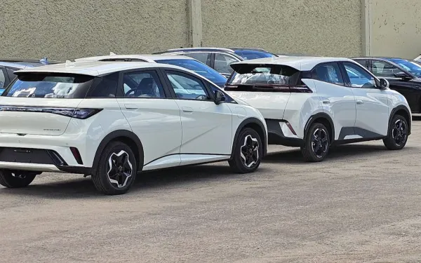 BYD Dolphin MINI lidera varejo com 5.886 emplacamentos