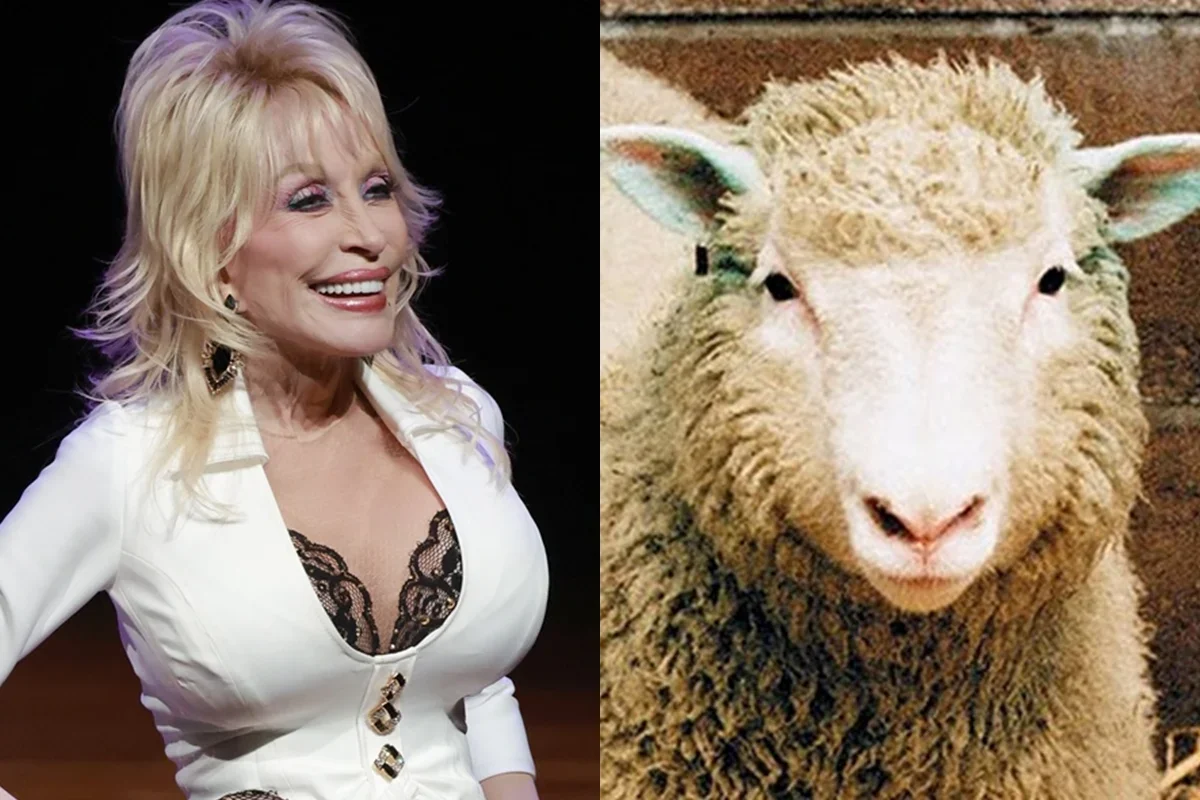Dolly Parton: cantora inspirou nome da 1ª ovelha clonada