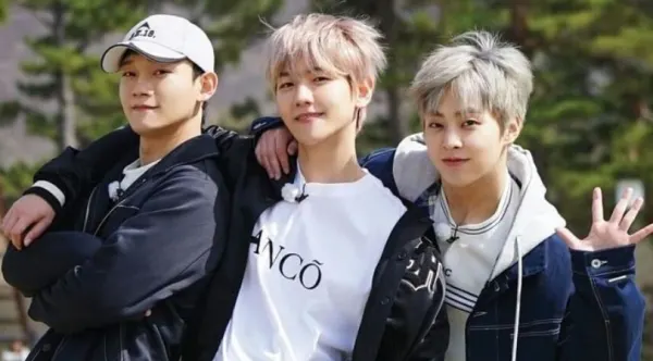 EXO-CBX: fim do serviço na Bubble após disputa e migração para Fromm