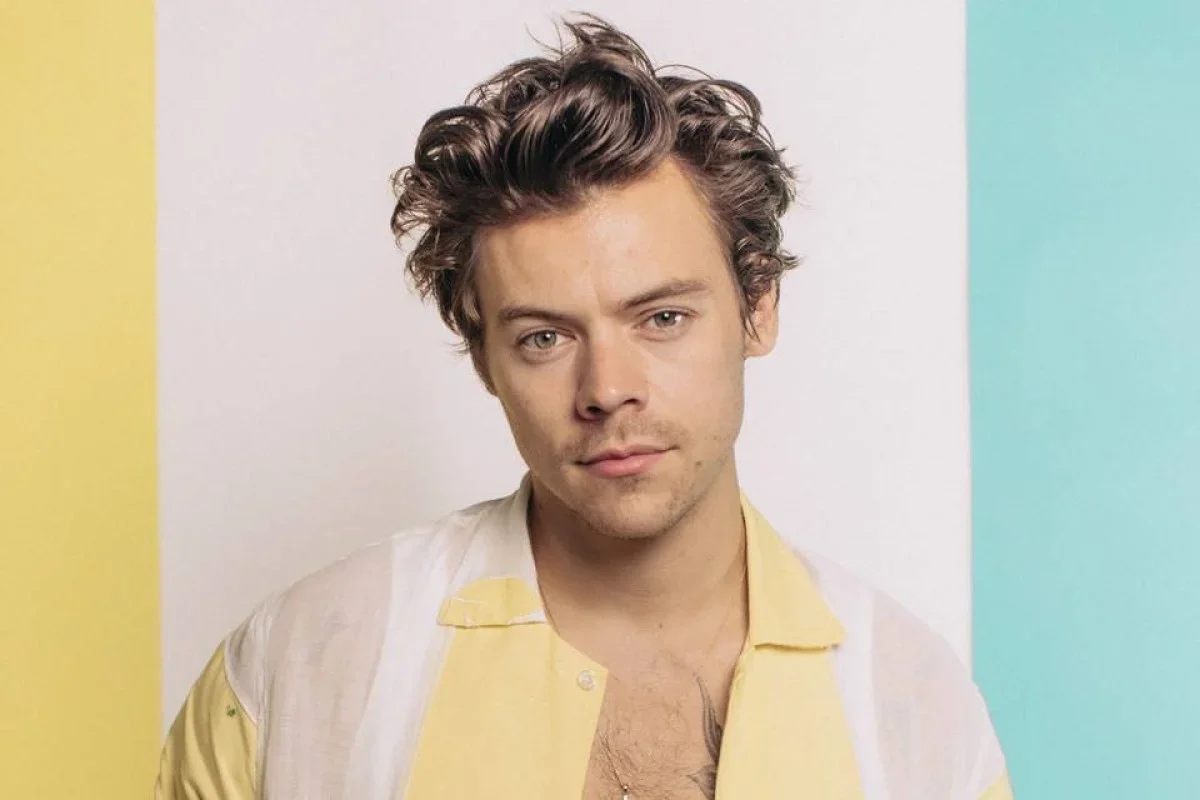 Harry Styles: ingresso em Nova York é criticado por lembrar 11 de Setembro