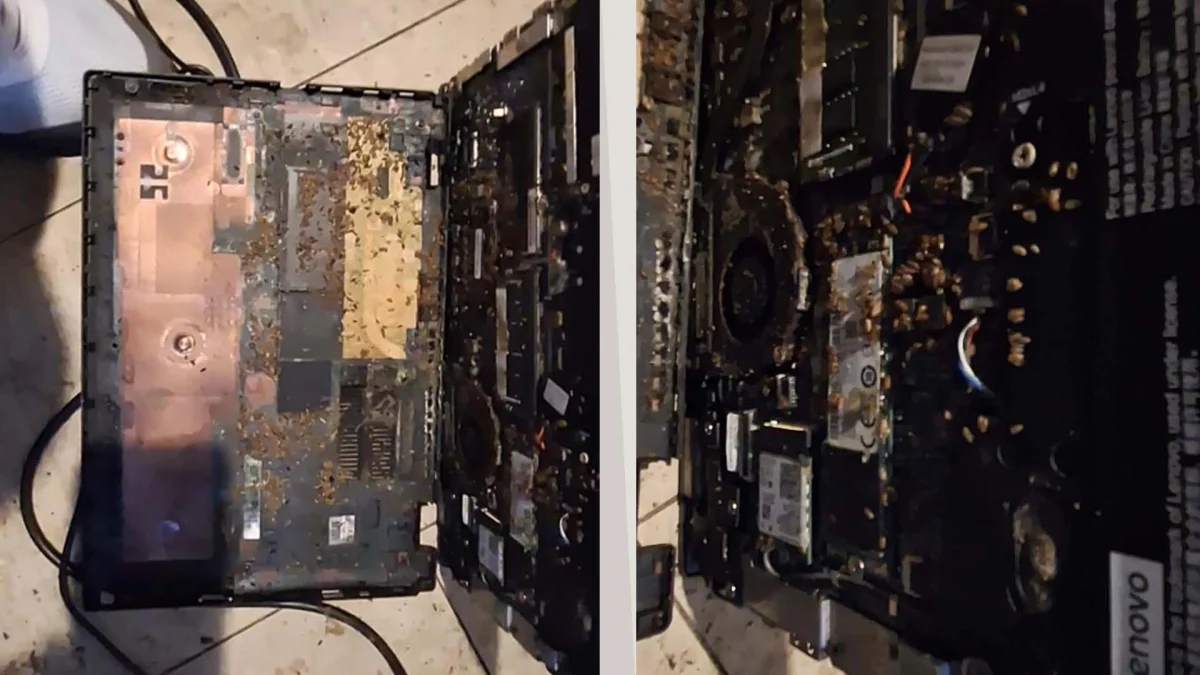 Lenovo: notebook recondicionado vira alvo de infestação interna