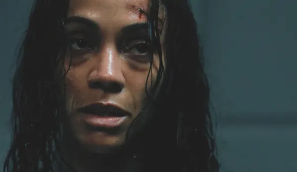 Lioness: Irã surge como mandante do sequestro de Joe
