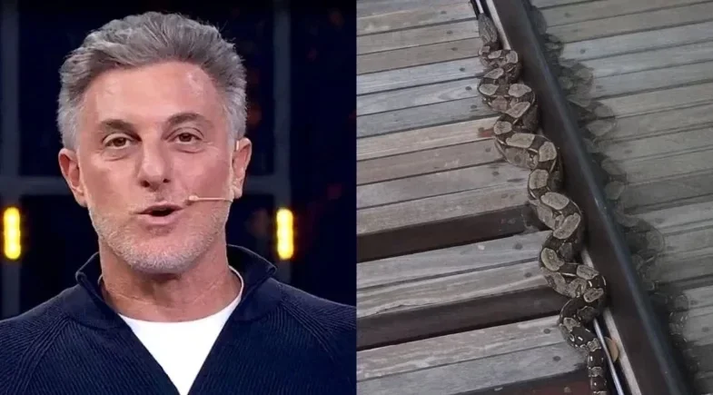 Luciano Huck registra jiboia perto da porta de vidro na mansão