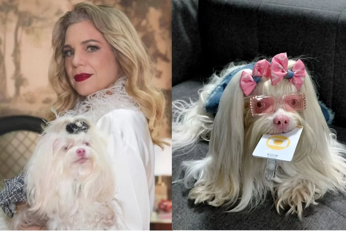 Meg, estrela pet de Quem Ama Cuida, destaca-se por ser albina