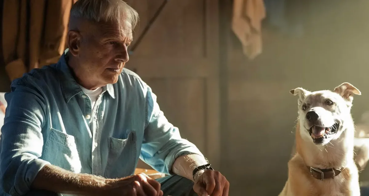 NCIS: Origins pode reunir Mark Harmon e seu filho pela 1ª vez