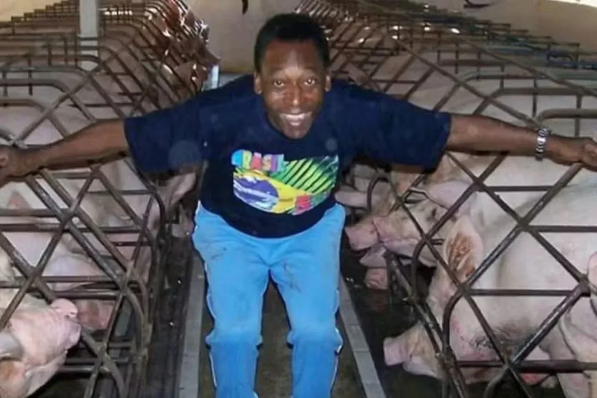 Pelé: sítio de 660 hectares vendido após anúncio de R$ 35 milhões