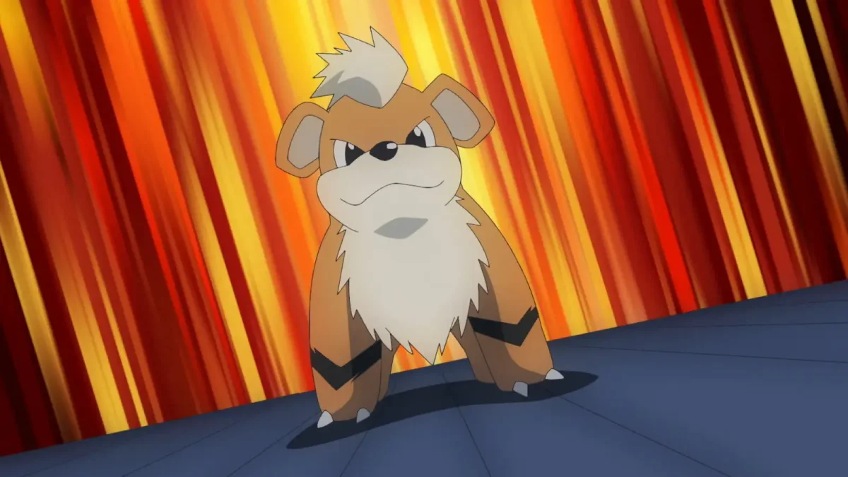 Pokémon: Growlithe vira estrela de quatro Poké Lids em Okinawa