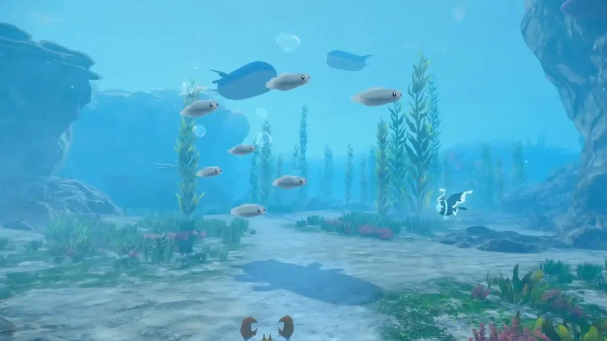 Pokémon Winds & Waves: vazamento revela tamanho do mapa regional
