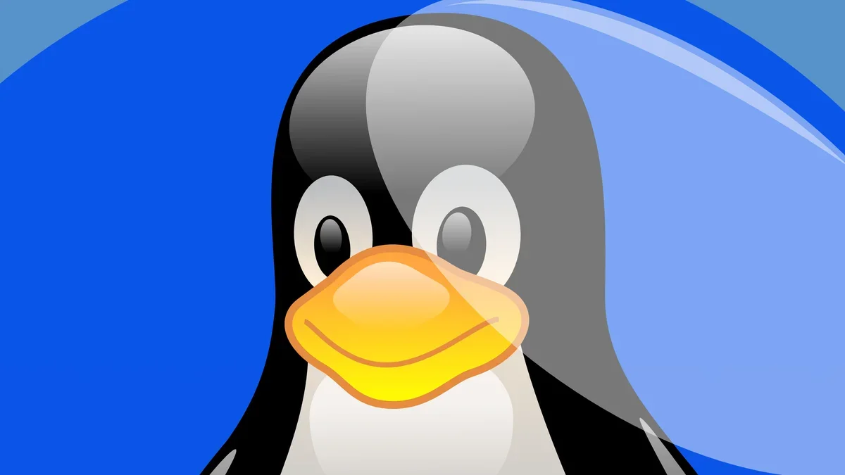 PS5 Linux agora roda no PS5 Pro até a firmware 13.60