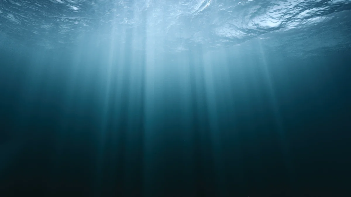 Veja como meta floats project to lay first petabit submarine fiberoptic cable