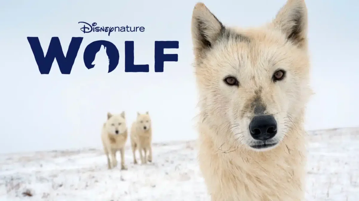 Wolf chega ao Disney+ em 22/04/2027