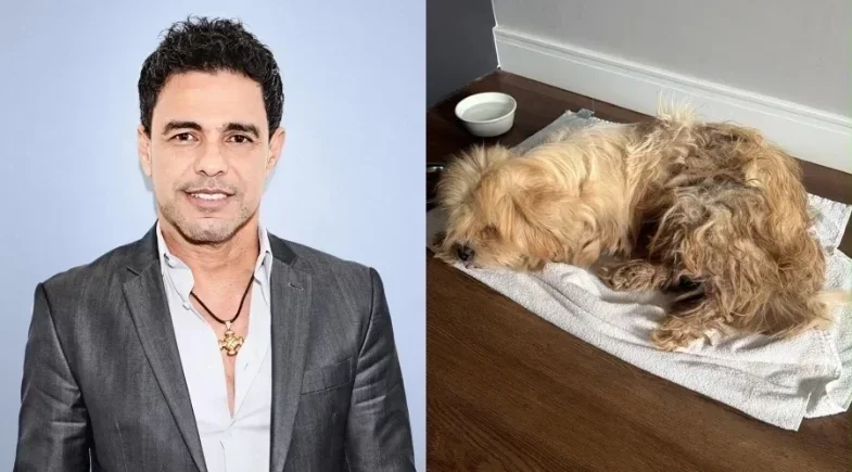 Zezé Di Camargo adota cachorro do camarim e mostra antes e depois