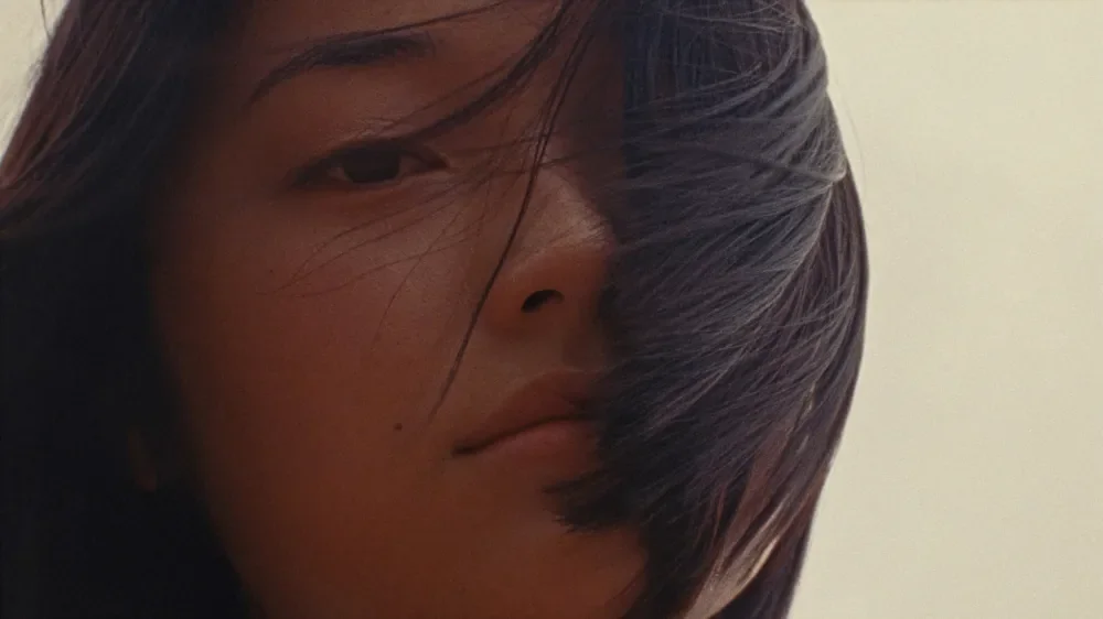 Zi: Atnine Film fecha distribuição na Coreia antes da estreia em Busan
